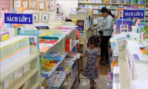 Thủ tướng yêu cầu Bộ GD-ĐT đánh giá lại 'Chương trình thực nghiệm'