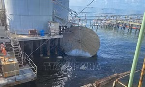 Sự cố tràn dầu tại Mỹ không gây tác động đến môi trường hoang dã