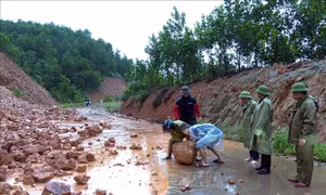 Ứng phó bão số 4: Quảng Ninh tập trung chống sạt lở sau mưa lớn