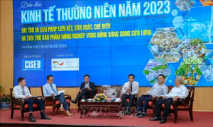 Hiến kế triển khai Trung tâm liên kết nông sản vùng ĐBSCL