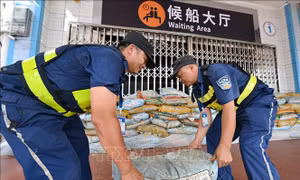 Bão MATMO đổ bộ vào miền Nam Trung Quốc, hàng trăm nghìn người phải sơ tán
