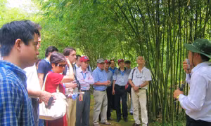Dịch COVID-19: Quảng Trị tạm dừng đón khách tại các di tích