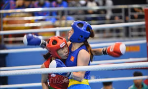 Đại hội Thể thao toàn quốc 2022: Bế mạc môn Kickboxing