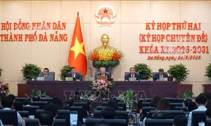 Hỗ trợ các dự án, mô hình đóng góp thực chất cho năng lực cạnh tranh ​