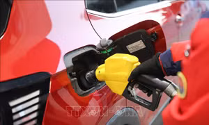 Giá dầu giảm hơn 5% sau khi Mỹ tạm dừng hoạt động quân sự nhằm vào Iran