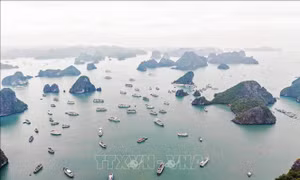 Liên thông dữ liệu cảnh báo dông, lốc cho vịnh Hạ Long, Bái Tử Long