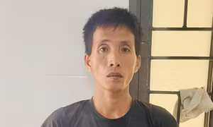 Bắt giữ đối tượng bạo hành con riêng của vợ