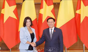 Chủ tịch Quốc hội Vương Đình Huệ hội đàm với Chủ tịch Thượng viện Bỉ Stéphanie D'Hose
