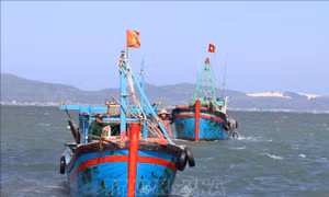 Đa dạng hình thức tuyên truyền ngư dân cùng chung tay gỡ 'thẻ vàng' IUU