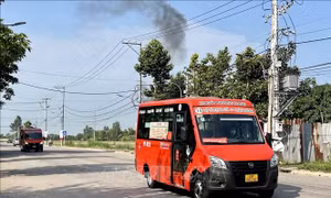 An Giang: Đưa vào hoạt động 15 tuyến xe buýt tiêu chuẩn châu Âu