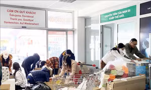 Hỗ trợ người Việt tại Ukraine đăng ký các chuyến bay về nước
