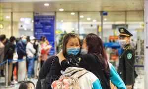 Hoàn thành 6 chuyến bay đưa người Việt Nam tại Ukraine về nước an toàn