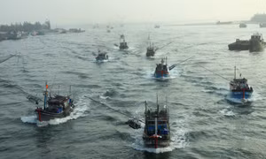 Khắc phục 'thẻ vàng' IUU: Quảng Trị kiểm soát chặt hoạt động tàu cá