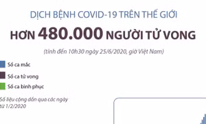 Thế giới có trên 480 nghìn người tử vong COVID-19