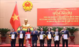 Bắt đầu từ năm học 2025 - 2026, Bộ Chính trị chủ trương thực hiện miễn toàn bộ học phí cho học sinh từ mầm non đến hết trung học phổ thông công lập trên cả nước
