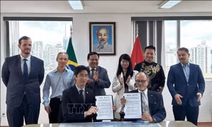Việt Nam - Brazil tăng cường hợp tác xúc tiến thương mại