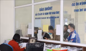 Số người rút bảo hiểm xã hội một lần tăng bình quân 10%/năm