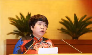 Sửa đổi toàn diện Pháp lệnh Ưu đãi người có công với cách mạng​