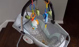 Mỹ khuyến cáo ngừng sử dụng nôi rung Rock 'n Play cho trẻ sơ sinh