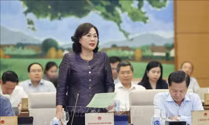 Thống đốc Nguyễn Thị Hồng: Xử lý ngân hàng yếu kém sẽ rất khó, cần thời gian