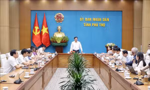 Khai thác lợi thế văn hóa cội nguồn để phát triển kinh tế sáng tạo​