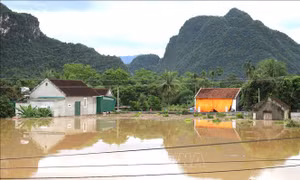 Cảnh báo nguy cơ cao ngập lụt vùng trũng thấp ven hạ lưu sông Cả