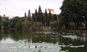 Tạo thêm không gian xanh cho đô thị