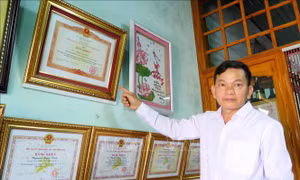 Ngày Nhà giáo Việt Nam: Thầy giáo có nhiều sáng kiến