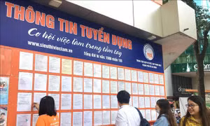 TP Hồ Chí Minh cần khoảng 127.000-147.000 chỗ làm việc 