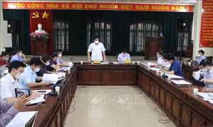 Bàn giải pháp khẩn cấp dập dịch tại huyện Quế Võ, Bắc Ninh
