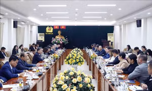 Thúc đẩy hợp tác kinh tế - thương mại, quốc phòng - an ninh giữa Việt Nam - Hoa Kỳ