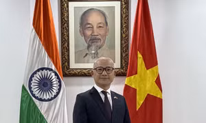 Việt Nam chủ động đóng góp, phát huy vai trò Đối tác trong BRICS