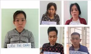 Bắt nhóm đối tượng dàn cảnh cướp giật tài sản