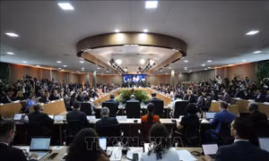 Xung đột Hamas - Israel: G20 ủng hộ mạnh mẽ giải pháp hai nhà nước