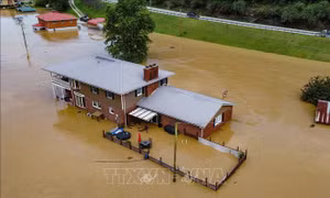 Mỹ: Số người thiệt mạng do lũ lụt tại bang Kentucky tăng cao