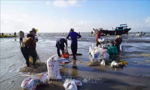 Bến Tre với khát vọng vươn mình ra biển