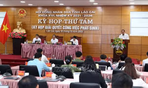 HĐND tỉnh Lào Cai thông qua 5 nghị quyết về thực hiện các nhiệm vụ cần thiết, cấp bách