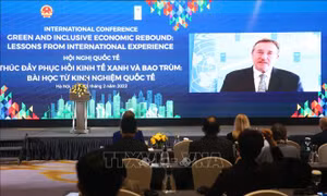 Hội nghị quốc tế về 'Thúc đẩy phục hồi kinh tế xanh và bao trùm: Bài học từ kinh nghiệm quốc tế'