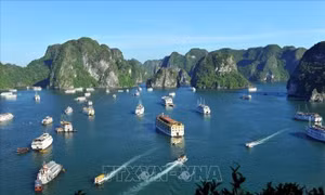Ngày Di sản văn hóa Việt Nam (23/11): Góp phần tô thắm hình ảnh Việt Nam với thế giới