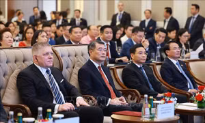 Thủ tướng Lê Minh Hưng và Thủ tướng Robert Fico dự Diễn đàn doanh nghiệp Slovakia – Việt Nam