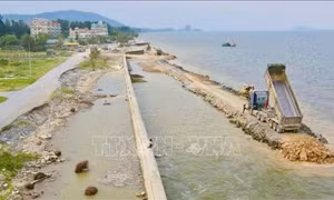 Đẩy nhanh tiến độ nâng cấp, sửa chữa, thi công các công trình đê điều, hồ đập thủy lợi xung yếu