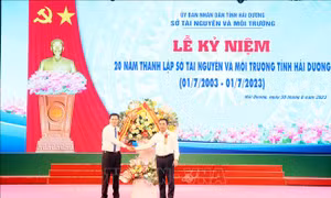 Hải Dương: Tăng cường kỷ luật, kỷ cương, không để xảy ra vi phạm về đất đai ​