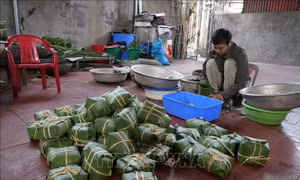 Tết về sớm ở làng bánh chưng Thủy Đường