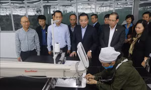 Đẩy mạnh đơn giản hóa các điều kiện kinh doanh, tạo thuận lợi cho doanh nghiệp