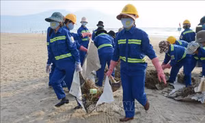 Bảo vệ môi trường biển để thu hút khách du lịch