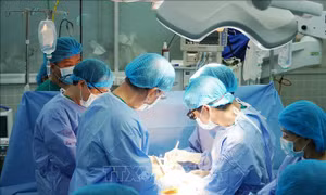 Thêm nhiều bệnh nhân được hồi sinh từ tạng hiến của người cho chết não