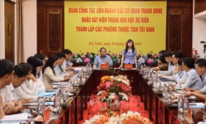 Thành lập phường gắn với định hướng phát triển lâu dài, phát huy lợi thế từng địa bàn