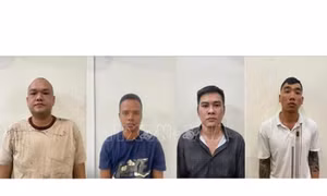 Thuê người cung cấp sinh trắc học để lừa đảo hàng trăm tỷ đồng