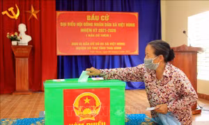 Thái Bình: Bầu cử thêm 4 đại biểu HĐND cấp xã