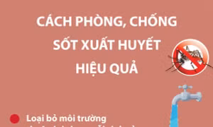 Cách phòng, chống sốt xuất huyết hiệu quả